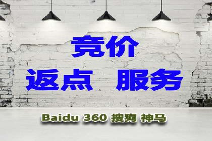 实战经验：竞价推广公司成功案例解析